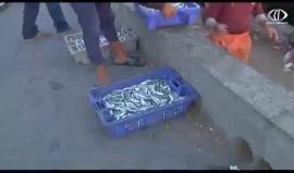 الصليب الأحمر يطّلع على أوضاع الصيادين ويطالب الاحتلال بتوسيع مساحة لهم