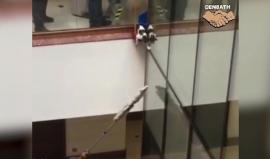 #شاهد محاولة انقاذ قطة تنتهي بكارثة!