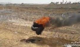 #شاهد لحظة إطلاق قناصة الاحتلال النار على متظاهر شرق مدينة غزة قبل قليل . 
#مسيرة_العودة_الكبرى