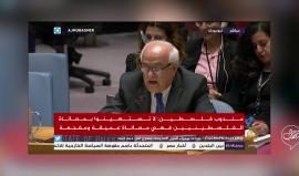 #فيديو المندوب الفلسطيني في مجلس الأمن رياض منصور: لا نقبل ونرفض وندين كل عنف ضد المدنيين ويجب أن يطبق القانون الدولي ويحترم من قبل الجميع وفي كل الأوقات