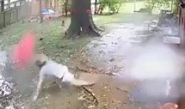 لحظات بين الحياة والموت!