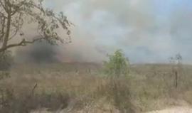 #فيديو للحريق الذي اندلع في كيبوتس "أور هنير" قرب حدود قطاع غزة بفعل بالون حارق