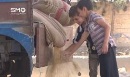 السوريون يحصدون القمح في #درعا
