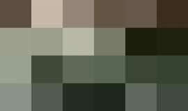 قدمي تؤلمي وبكاء.. #شاهد اللحظات الأولى لدهس جنود الاحتلال غرب بيت لحم