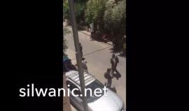 قوات الاحتلال تعتدي بشكل وحشي على عبدالحي الزير ونجله أحمد الزير في بلدة سلوان بالقدس المحتلة، اليوم.