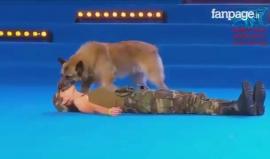 كلب مدرب على إسعاف البشر من حالات الاغماء !!