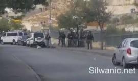 #شاهد  قوات الاحتلال تطلق الاعيرة المطاطية صوب المركبات في بلدة سلوان جنوب الاقصى.