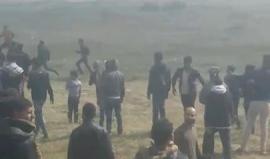 امرأة فلسطينية تحمل العلم الفلسطيني في وجه جنود الاحتلال
تصوير: محمد هنية