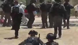 #شاهد .. الاعتداء الهمجي لقوات الاحتلال على المرابطين في المسجد الأقصى صباح اليوم