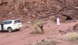 لا تحاول فعل ذلك..