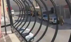 اشتباكات مسلحة بعد اقتحام قوات أمن السلطة مخيم بلاطة في نابلس 

وكالات 
اندلعت اشتباكات عنيفة صباح الجمعة بين قوات كبيرة من أمن السلطة والشبان في مخيم بلاطة بنابلس شمال الضفة الغربية المحتلة.

وأفاد شهود عيان باقتحام أعداد كبيرة من قوات السلطة المخيم من ك