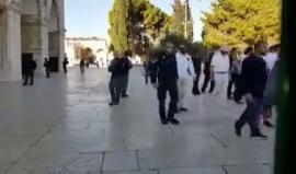 مستوطنون يقتحمون المسجد الأقصى المبارك صباح اليوم