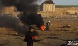 "هز الرمح بعود الزين" .. 

مشاهد من #جمعة_النذير ضمن مسيرة العودة الكبرى في قطاع غزة أمس