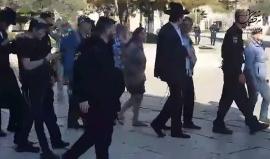 #فيديو 30 مستوطنا يقتحمون باحات المسجد الأقصى منذ الصباح بحماية قوات الاحتلال