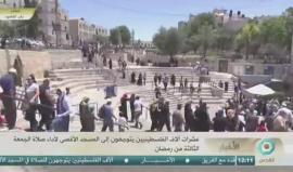 #شاهد | من #باب_العامود بالقدس المحتلة حيث يتوافد المصلين الى #المسجد_الاقصى المبارك لأداء صلاة الجمعة الثالثة من رمضان .