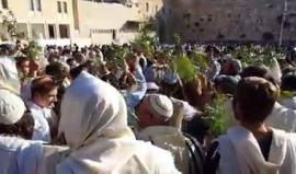 فيديو من "أعياد اليهود" اليوم عند حائط البراق في المسجد الأقصى المبارك