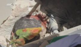 مشاهد مؤثرة: لحظة إنقاذ طفل من تحت أنقاض منزل عائلته المدمر في حي طريق الباب بـ #حلب صباح اليوم
تصوير: عامر أبو شام - (مشاهد قد يعتبرها البعض قاسية +18) 
#حلب_تحترق #الأسد_يحرق_حلب #ستسألون_عنهم