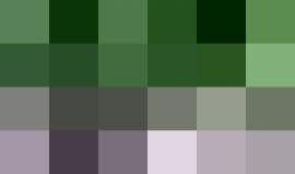 مقطع فيديو من #فرنسا لعمليات سرقة أمتعة موجودة تحت حافلة تخص المسافرين فيها خلال احتفالات فوز فرنسا بكأس العالم