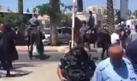 #شاهد  واللا العبري: إصابة حارس أمن إسرائيلي بجراح طفيفية واعتقال المنفذة قرب باب العامود بالقدس.