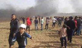 شرق البريج الان
اشتداد المواجهات