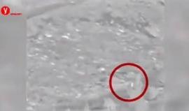 #شاهد كاميرات مراقبة رصدت منفذ عملية الطعن صباح اليوم في مستوطنة أفرات جنوب بيت لحم حيث اقتحم المستوطنة في تمام الساعة 1:42 فجرا ومكث حتى الصباح حتى تم اكتشاف أمره واطلاق النار عليه ما أدى لاصابته بجروح خطيرة بعد طعنه ضابط "اسرائيلي" وإصابته بجراح بين متو