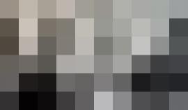 قطعان المستوطنين تقتحم المسجد الاقصى المبارك باعداد كبيرة وحماية مشددة من الاحتلال من باب المغاربة.