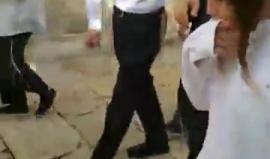 #فيديو من اقتحام المستوطنين باحات المسجد الاقصى المبارك بحماية قوات الاحتلال