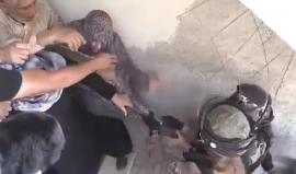 For more LIKE our page 
تابعوا صفحتنا باللغة الانجليزية