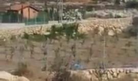 عشرات المستوطنين يقتحمون قرية برهام شمال غرب رام الله صباح اليوم.