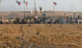 #شاهد الشباب الثائر على السلك الزائل شرق غزة على مرمى حجر من جنود الاحتلال