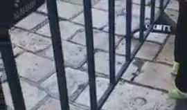 #فيديو حواجز مكثفة لشرطة الاحتلال حول اسوار القدس

تصوير: Muhammed Idkaidek