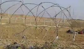 "راجع  ع بلادي أنا وولادي".. هتاف الشبان الفلسطينيين شرق غزة أمام جنود الاحتلال 
تصوير: مؤمن عودة