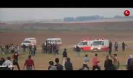 #شاهد كيف تعاملت قوات الاحتلال بوحشية مع المواطنين شرق جباليا بالقاء عشرات قنابل الغاز  مما أدى لإصابة العشرات بالإختناق

تصوير أنس جمال الشريف
مونتاج محمد موسى