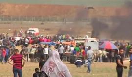 #مباشر إصابات برصاص الاحتلال واشتعال النيران من جديد في المزارع بالداخل المحتل شرق مدينة غزة بفعل الطائرات الورقية الحارقة