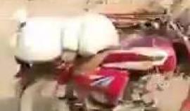 #ترفيه #شاهد طحن البذور بطريقة طريفة