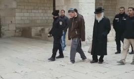 #شاهد مستوطنون يقتحمون المسجد الأقصى صباح اليوم