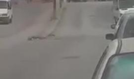 #شاهد الاحتلال يطلق الرصاص الحي بكثافة بعد محاصرة مجموعة من الشبان في احدى البنايات السكنية في بلدة ابو ديس شرق القدس