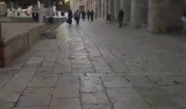 #مباشر جولة في باحات المسجد الأقصى المبارك