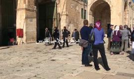 #شاهد مستوطنون يقتحمون باحات المسجد الأقصى المبارك