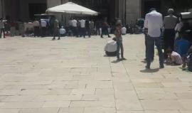 #مباشر.. خطبة وصلاة الجمعة من المسجد الاقصى المبارك بالعاصمة الفلسطينية المحتلة.