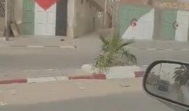 #شاهد | كيف تزين أبواب متاجر ومنازل الجزائريين . 
Khaled Ben Amara