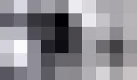 #شاهد.. لحظة اعتقال موظف الإعمار رائد الزغير أثناء عمله داخل المسجد الأقصى المبارك