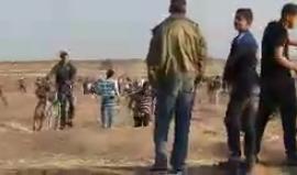 #مباشر اشتداد المواجهات بين الشبان المنتفضين وجنود الاحتلال على الحدود الشرقية لمدينة غزة
بث/ عبد الرحمن الربعي