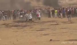 #شاهد فرحة المتظاهرين عقب إسقاط طائرة تصوير تابعة للاحتلال شرق خانيونس.