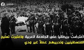 قرار تقسيم فلسطين .. قرار الأمم المتحدة 181‬
