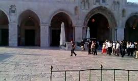 مستوطنون يقتحمون المسجد الأقصى بحماية قوات الاحتلال صباح اليوم