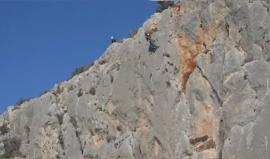 #شاهد ماذا حدث مع هذا المتسلق؟