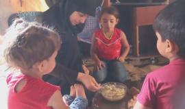 مهجرة في مخيم بحلب تصارع المرض لتعيل أطفالها وابنة أخاها اليتيمة
(وكالة سمارت)