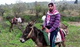 سبسطية تحتضن المشروع السياحي الأول من نوعه