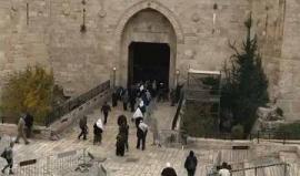 #فيديو باب العامود في القدس المحتلة هذا الصباح